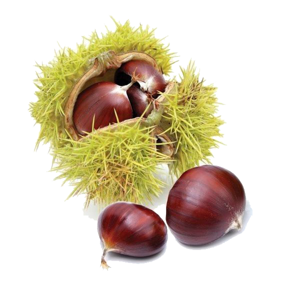 株式会社タカクリ